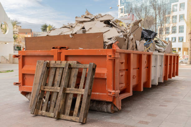 Best Same-Day Junk Removal  in Nicholls, GA